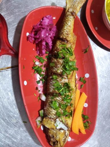 عکس کته کبابی بامبو