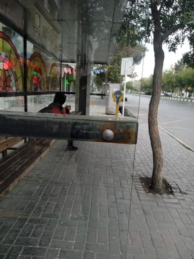 عکس  چهارراه ولی عصر (عج)