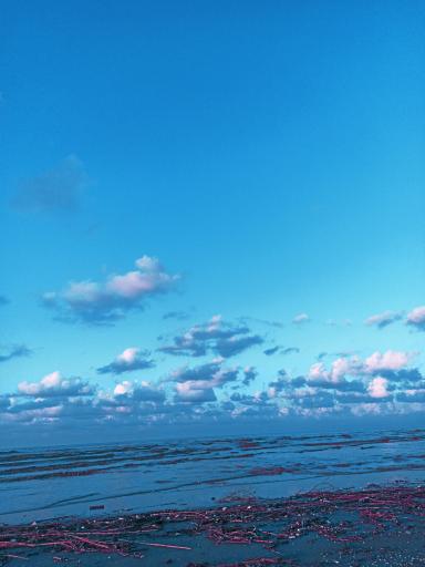 عکس ساحل جویبار