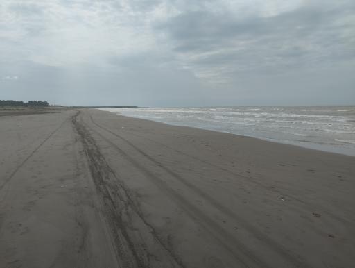 عکس ساحل جویبار