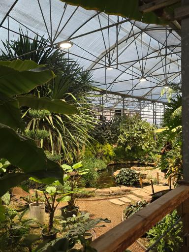 عکس کافه بائولند