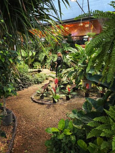 عکس کافه بائولند