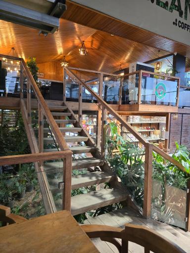 عکس کافه بائولند