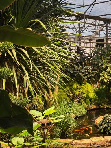 عکس کافه بائولند