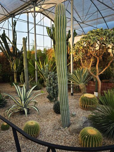 عکس کافه بائولند