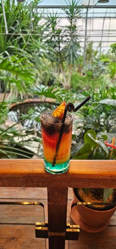 عکس کافه بائولند