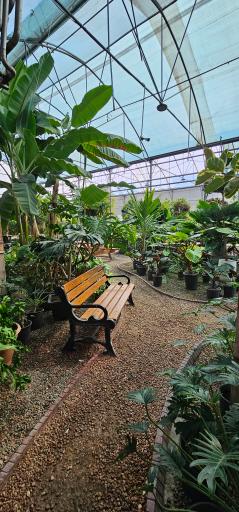 عکس کافه بائولند