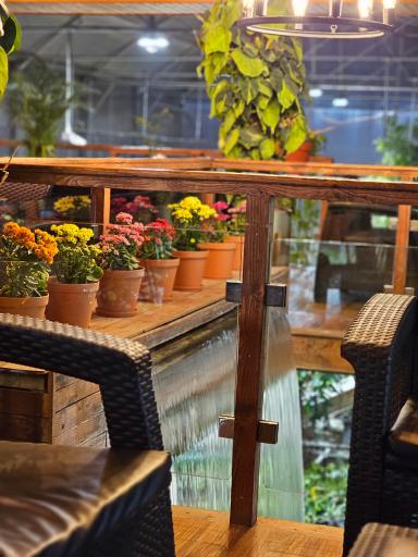 عکس کافه بائولند