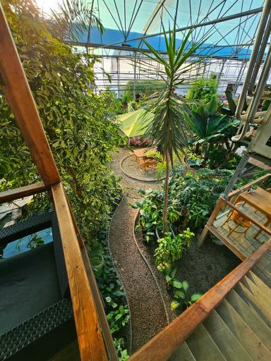 عکس کافه بائولند