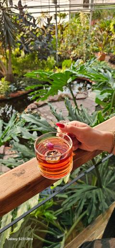 عکس کافه بائولند