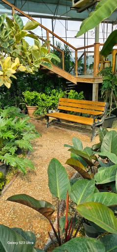 عکس کافه بائولند