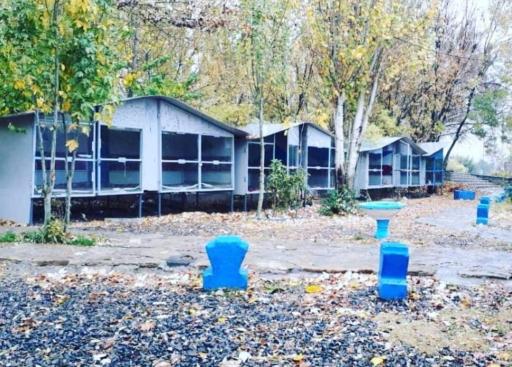 عکس جیگرکی دایی