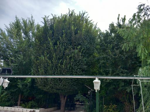 عکس باغ رستوران پارتر