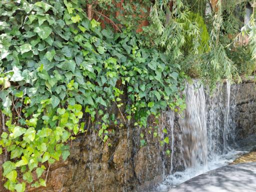 عکس رستوران و کافه سرچشمه