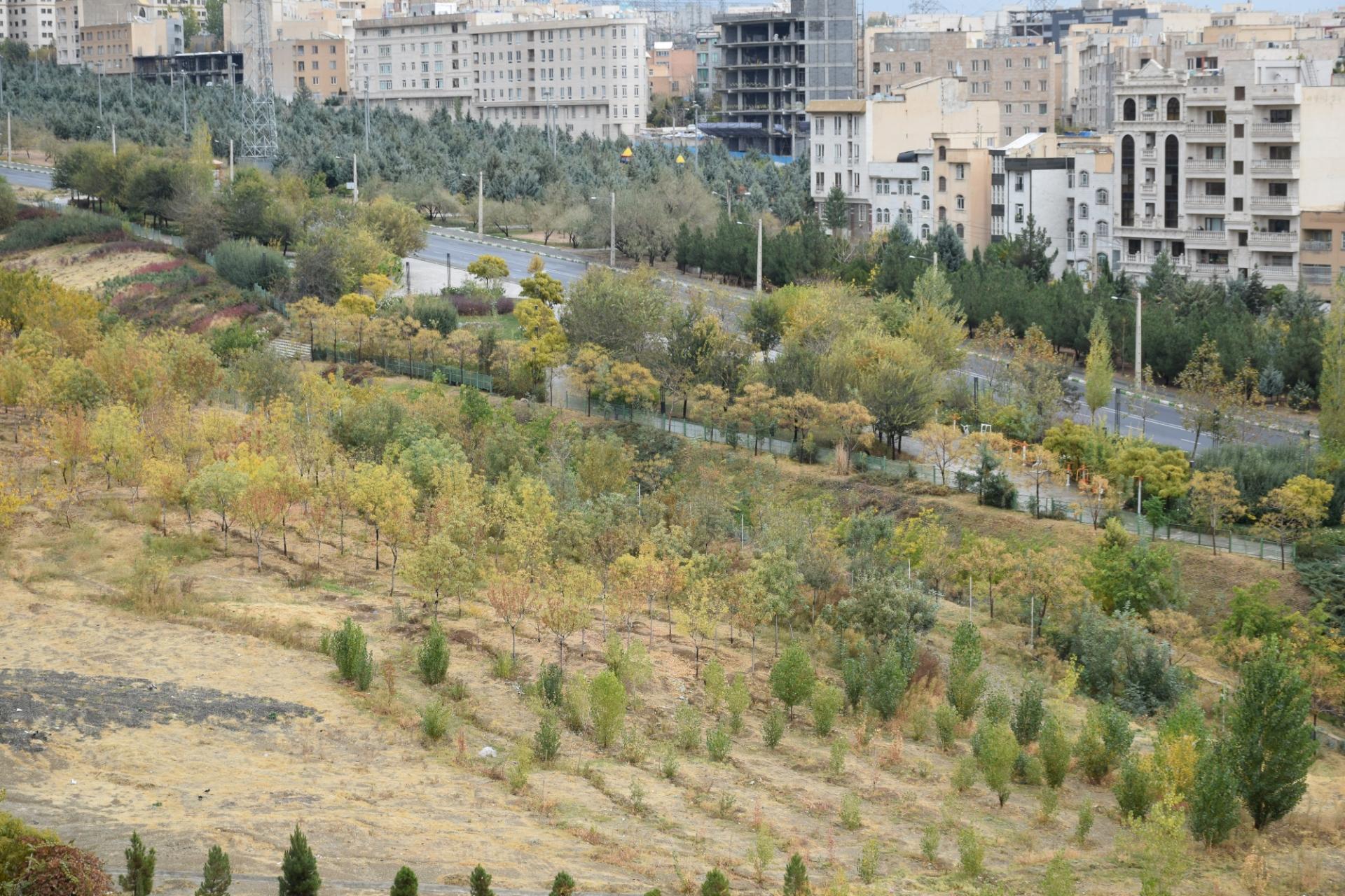 عکس پارک نیما یوشیج (الوند)