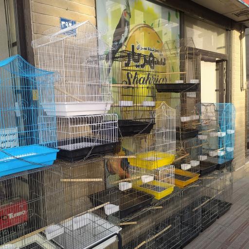 عکس پرنده فروشی و تجهیزات پرنده شهریار