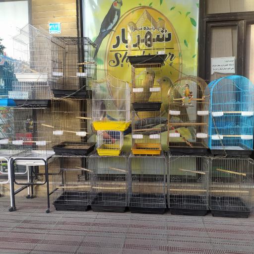 عکس پرنده فروشی و تجهیزات پرنده شهریار