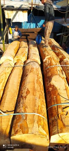 عکس روکش زنی کسرئ