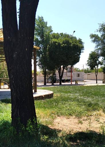 عکس پارک معلم