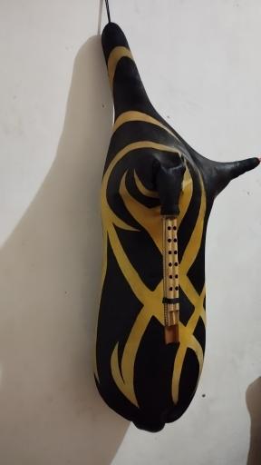 عکس گالری موسیقی دلنوازان جنوب