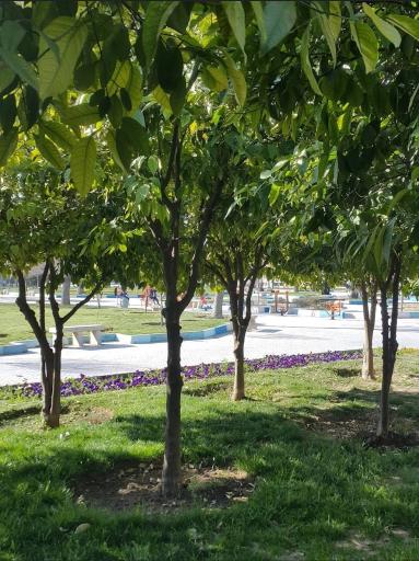 عکس پارک فضیلت