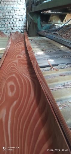 عکس روکش زنی کسرئ