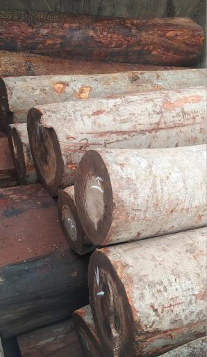 عکس روکش زنی کسرئ