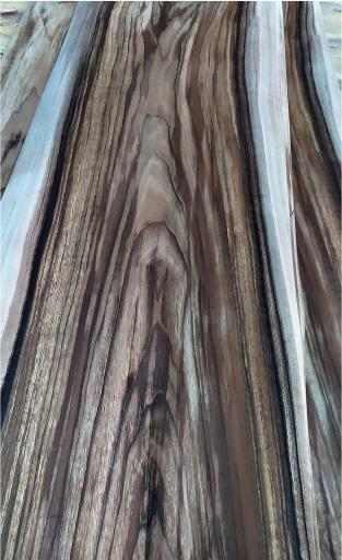 عکس روکش زنی کسرئ