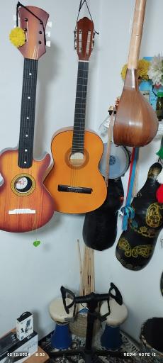 عکس گالری موسیقی دلنوازان جنوب