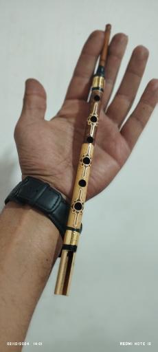 عکس گالری موسیقی دلنوازان جنوب