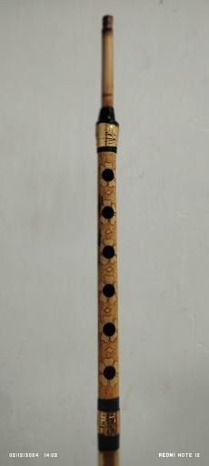 عکس گالری موسیقی دلنوازان جنوب