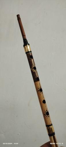 عکس گالری موسیقی دلنوازان جنوب