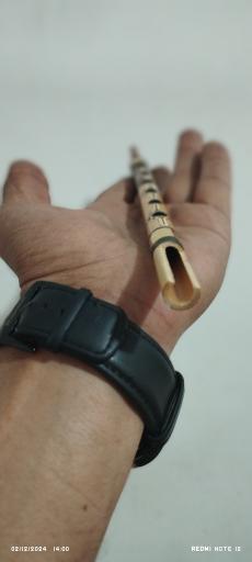 عکس گالری موسیقی دلنوازان جنوب