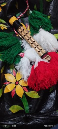 عکس گالری موسیقی دلنوازان جنوب