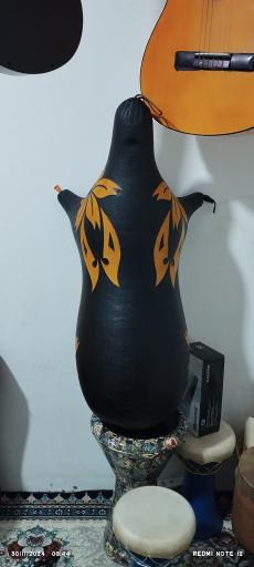 عکس گالری موسیقی دلنوازان جنوب