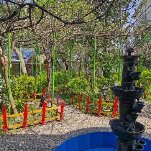 رستوران شیلاتی و جایگاه عرضه ماهی قزل آلای رنگین کمان