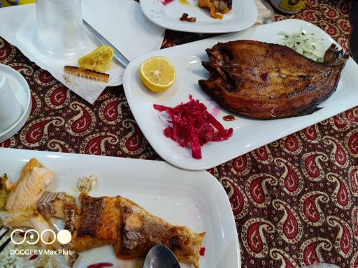 عکس رستوران شیلاتی و جایگاه عرضه ماهی قزل آلای رنگین کمان