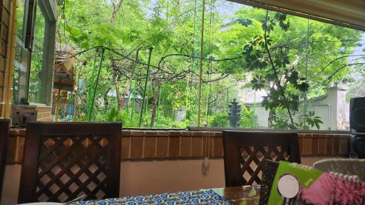 عکس رستوران شیلاتی و جایگاه عرضه ماهی قزل آلای رنگین کمان