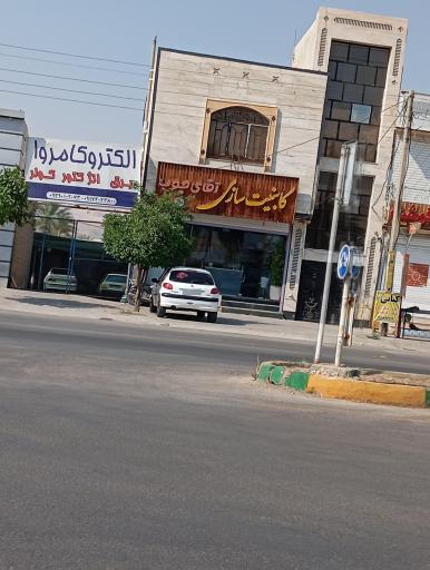 عکس الکترو کامروا