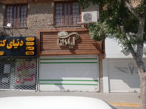 عکس کیف و کفش آپادانا