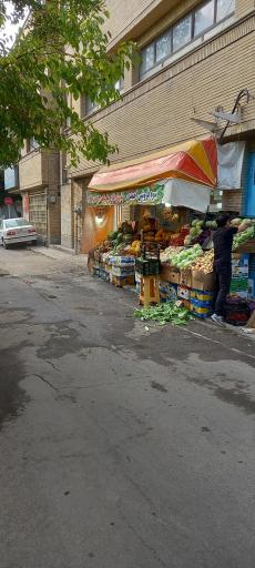 میوه و سبزی فروشی احمدی 