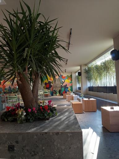 عکس قهوه لمیز شعبه فردوس 