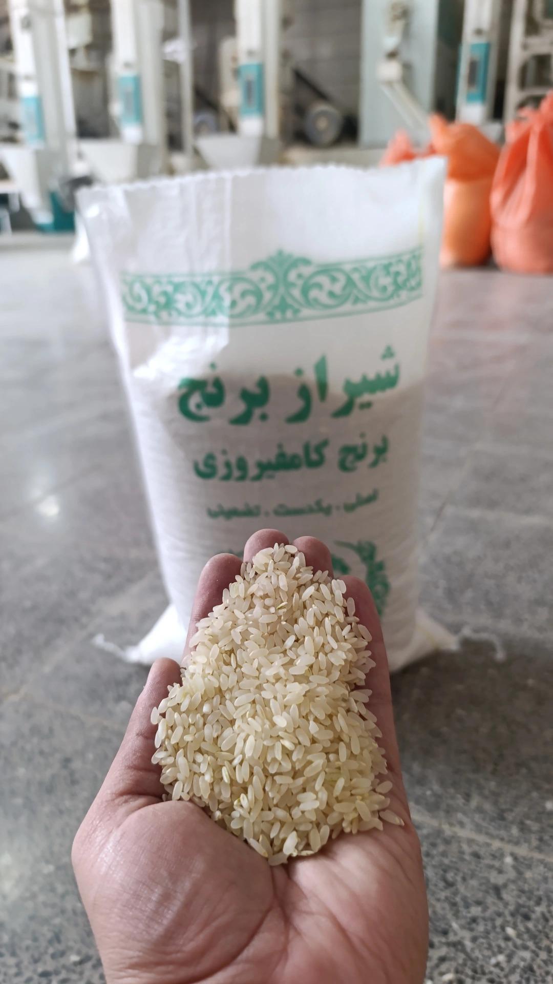 عکس شیراز برنج