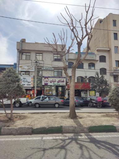 عکس رستوران تیان