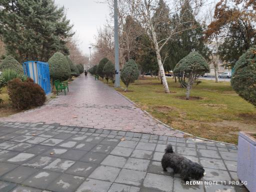 عکس بوستان گلریز