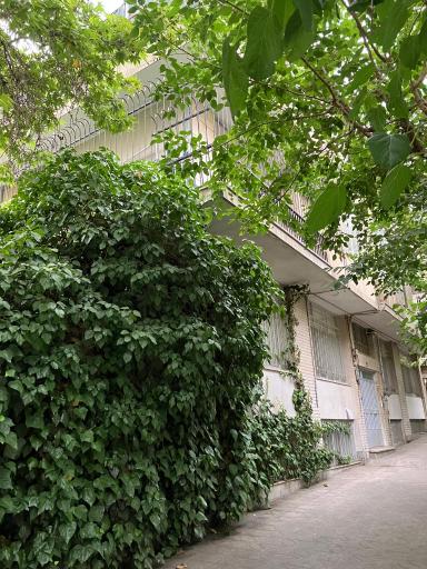 شرکت آی تی متاکو فراجهان