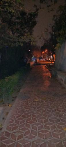 عکس بوستان گلریز