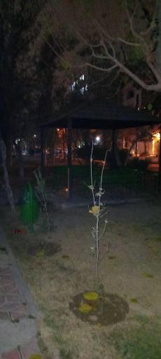 عکس بوستان گلریز