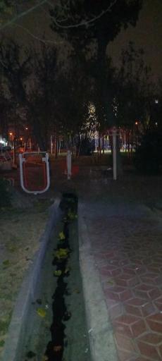 عکس بوستان گلریز