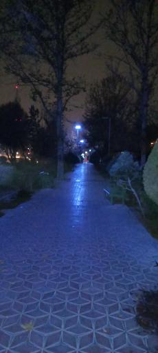 عکس بوستان گلریز